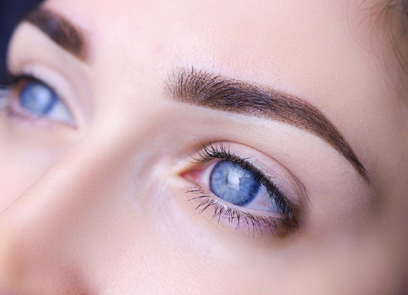 Olga Schneider Portfolio 3