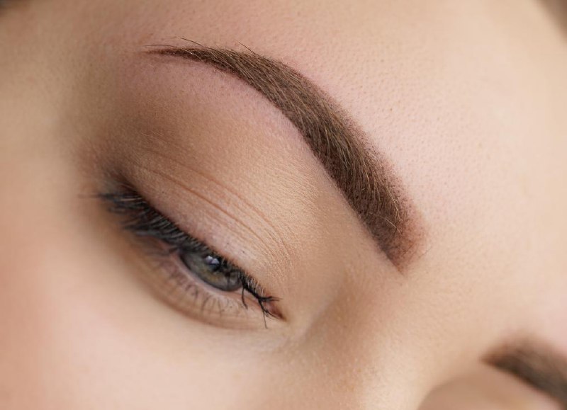 Alina Hoffmann Portfolio 1