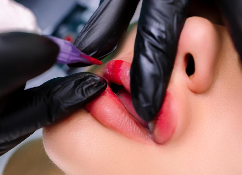 Olga Schneider Portfolio 6