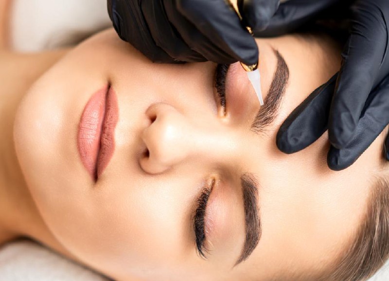 Alina Hoffmann Portfolio 4